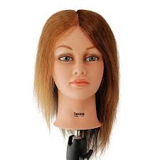 color cosmetology mannequin head