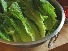 romaine lettuce nutrition calories
