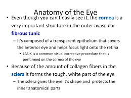 ppt anatomy of the eye powerpoint