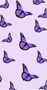 Aesthetic butterfly wallpaper desktop image information: Aesthetic Butterfly Purple Wallpapers Wallpaper Cave