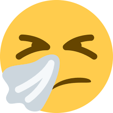 Image result for sneezing smiley