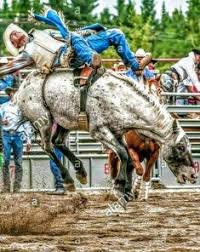 245 Best Broncs Images In 2019 Rodeo Life Rodeo Cowboys