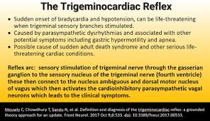 trigeminal cardiac reflex