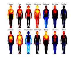 These Heatmaps Reveal Where Humans Feel Certain Emotions
