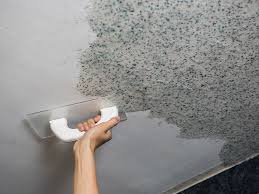 don t try to remove mold yourself