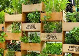Diy Vertical Garden Project Ideas