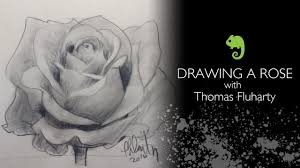 Have fun learning with drawing lessons for young and old. How To Draw A Rose Beginner And Advanced Tips Creative Bloq