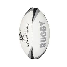 mini rugby ball