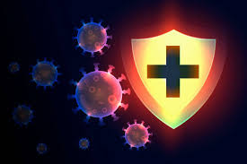 Best Immunity Boosters - Top Immune System Supplements That Work |  HeraldNet.com