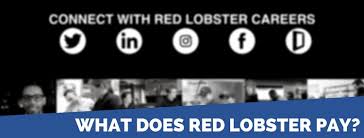 If the online application tells you the status of where the application is, is there even a point to call the company to know you're interested!? Red Lobster Application 2020 Careers Job Requirements Interview