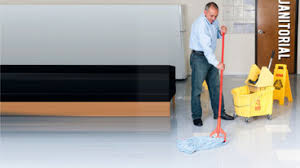 best 15 carpet cleaners in brton on
