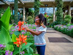 a guide to longwood gardens visit