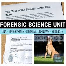 Forensic Science Case Study The Case Of The Disaster At The