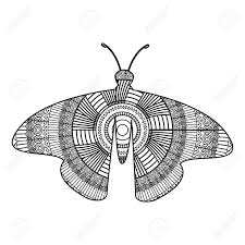 They are great to use for school calendars and schedules. Hand Drawn For Adult Coloring Pages With Moth Bug Monochrome Sketch Vector Illustration Royalty Free Cliparts Vectors And Stock Illustration Image 94016523