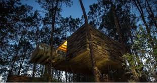 Están construidas en lo alto de un árbol. Las 10 Mejores Cabanas En Arboles De Espana Y Del Mundo Locuraviajes Com
