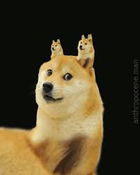 Trust dogecoin animated cryptocurrency gif. Zoom Doge Gif On Gifer By Saberscar