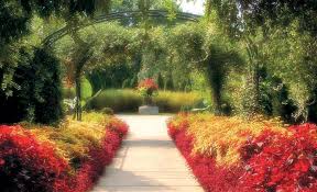 knoxville botanical garden and arboretum