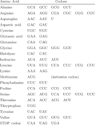 amino acid codons in rna table
