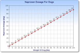Naproxen For Dogs Veterinary Place