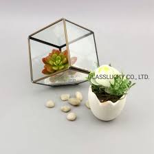 China Air Plant And Glass Pot