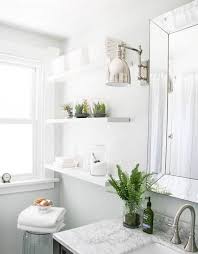 16 Trending Bathroom Plant Ideas