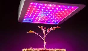 Best Full Spectrum Led Grow Lights For Plants In 2019 Uv Hero