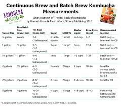 kombucha continuous brew vs batch brew
