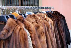 Before A Vintage Fur Coat