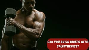 effective calisthenic bicep workouts