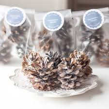 Fire Starters Pine Cones Set Of 6 Soy