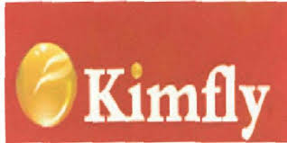 Image result for kimfly z1