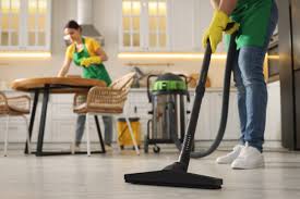 why choose professional house cleaning