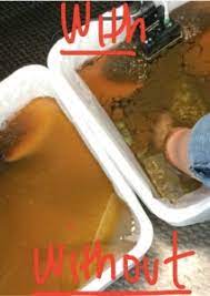 ioncleanse ion footbath revisited
