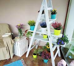 Diy Ladder Shelf Ladder Plant Shelf