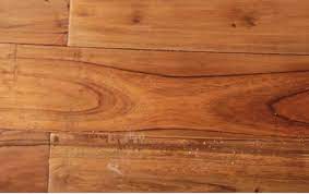 accord hardwood flooring tg