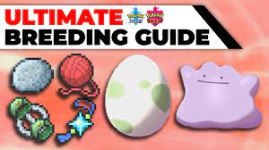 ULTIMATE Breeding Guide: Perfect IVs, EVs, Natures, Hidden Abilities | Pokémon  Sword & Shield - YouTube
