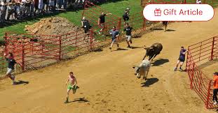 the bulls on a virginia racetrack