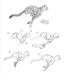 Here presented 50+ easy cheetah drawing images for free to download, print or share. Pics Of A Cheetah Coloring Home