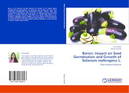 Pdf Boron Impact On Seed Germination And Growth Of Solanum