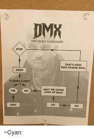 Dmx Fire Safety Flowchart Stop Thats How Ruff Ryders Roll