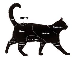 How To Pet Cats Dogs Chart Huffpost