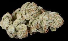 The chunky resin covered buds of the strain come with earthy. Gorilla Glue 4 Marijuana Review The Denver Post