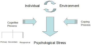 Folkman, 1984), a framework that integrates stress, appraisal, and coping theories as they relate to how individuals react to psychologically stressful situations. Volume 11 No 2 Art 1 May 2010 Retirement Transition In Ballet Dancers Coping Within And Coping Without Irina Roncaglia Abstract Retirement Transitions In Ballet Dancers Have Been Under Researched The Purpose Of This Paper Is To Investigate The