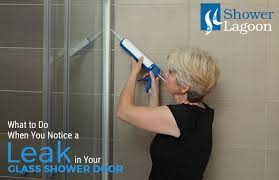 Leak In Your Glass Shower Door