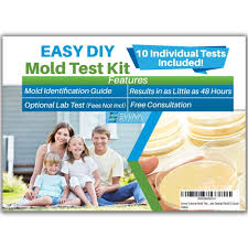 immunolytics diy mold test kit easy