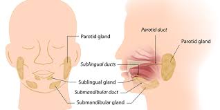 salivary gland cancer uc irvine