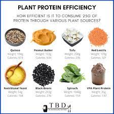 vegan protein sources how viable are