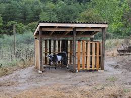 Goat Pallet Shed Plans Image Search