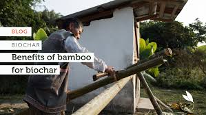 the benefits of bamboo biochar