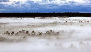 estonia paradise of the north